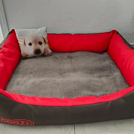 Lägenhet Duplex Sol Y Mar Puerto de la Cruz (Tenerife)