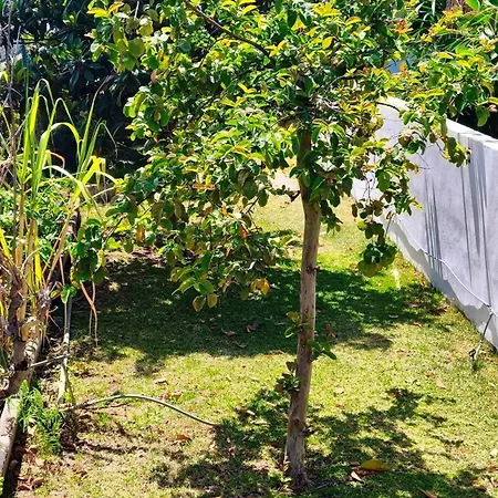 Duplex Sol Y Mar * Puerto de la Cruz (Tenerife)