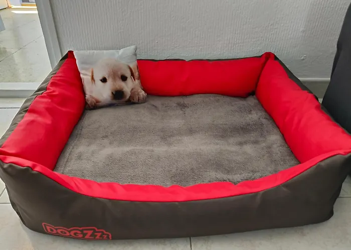 Lägenhet Duplex Sol Y Mar Puerto de la Cruz (Tenerife)