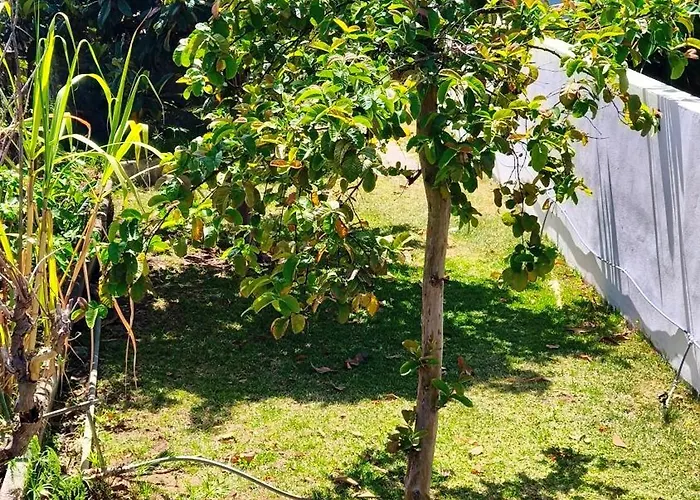 Duplex Sol Y Mar * Puerto de la Cruz (Tenerife)