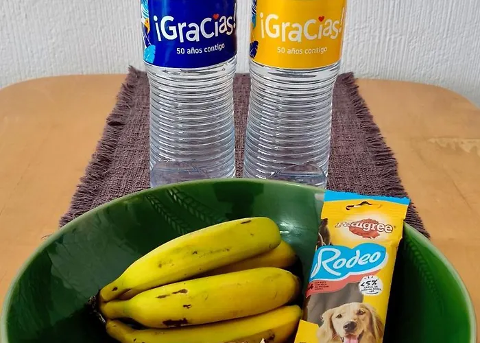 Duplex Sol Y Mar Lejlighed Puerto de la Cruz (Tenerife)